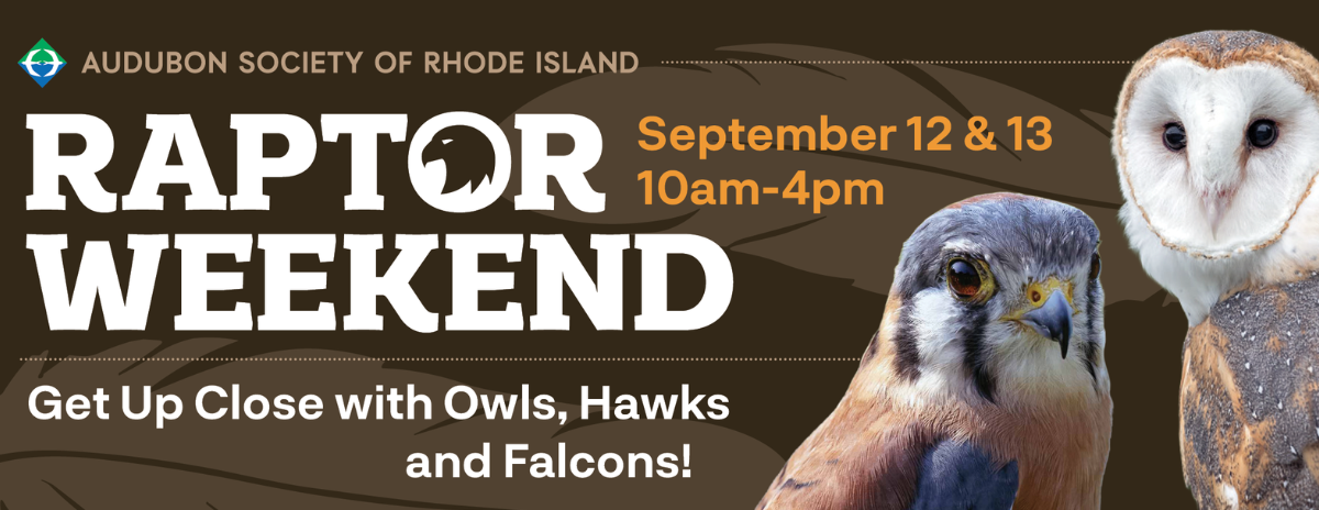 Raptor Weekend 2026